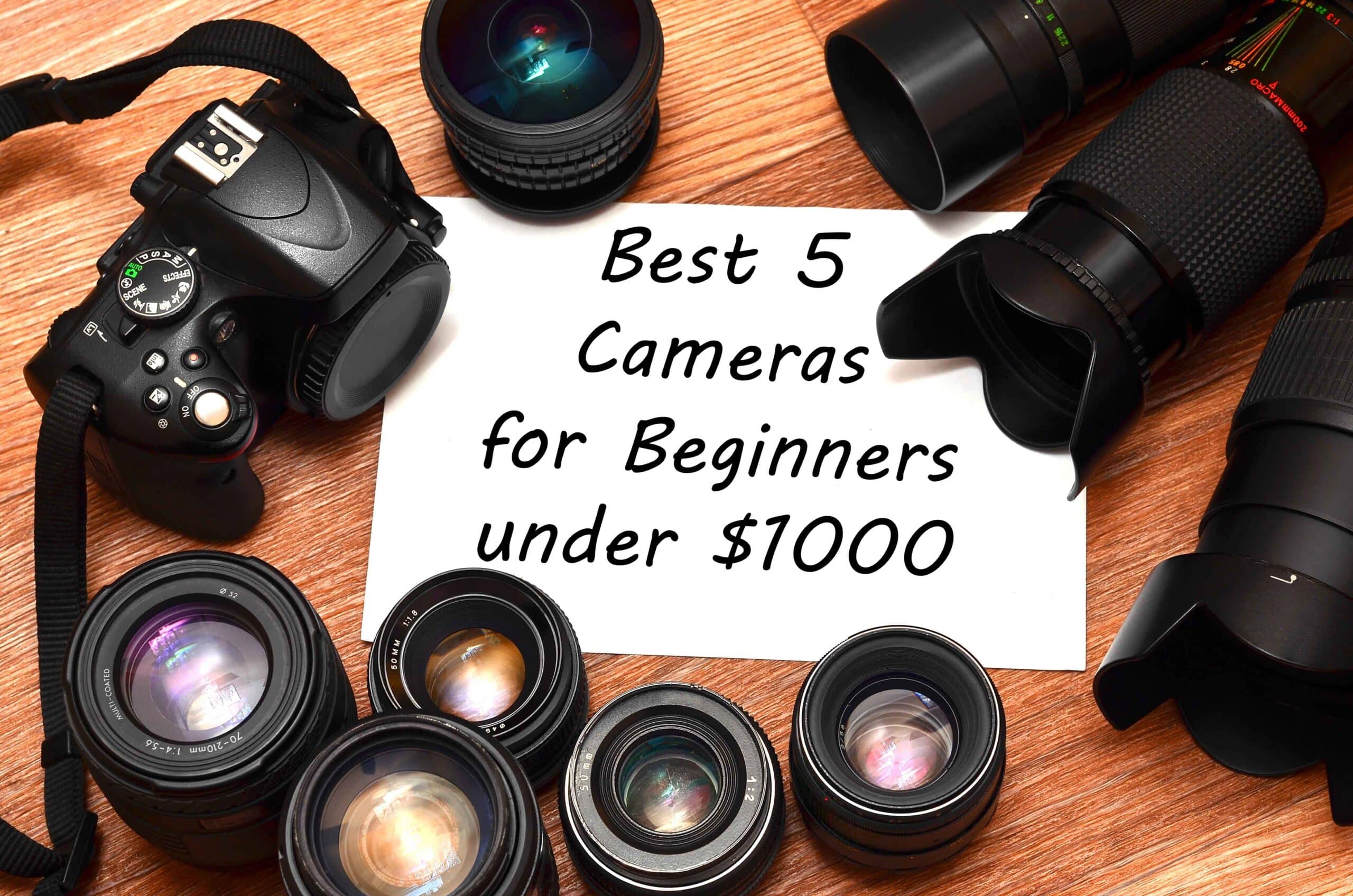 Top 5 Cameras for Beginners