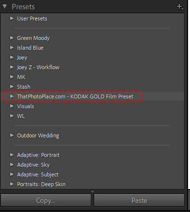 Lightroom preset section 1